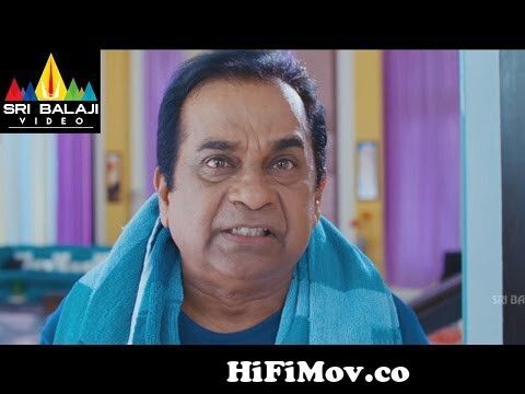 Telugu Comedy Scenes | Brahmanandam Comedy Scenes | Volume 1 | Sri Balaji  Video from telugu comedy video Watch Video 