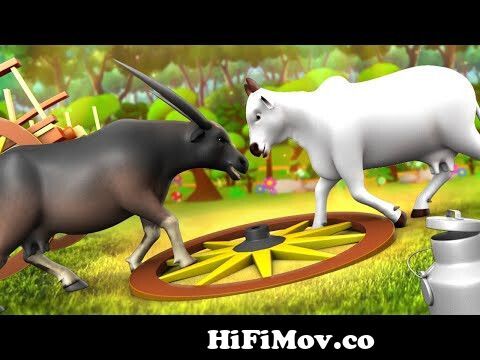 গরু এবং মহিষের বন্ধুত্ব - Cow and Buffalo Friendship | 3D Animated Bangla  Moral Stories | JOJO TV from গরুর ছবি Watch Video 