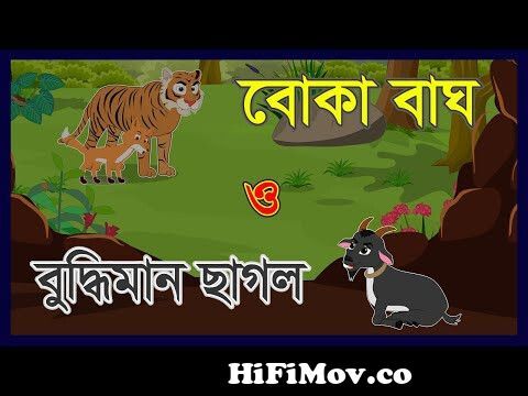 বুদ্ধিমান ছাগল ও বোকা বাঘ | Boka Siyal O Buddyman Sagol | Fox cartoon  Bangla | Bengali Fairy Tales from বাঘ শিয়ালের গল্প Watch Video 