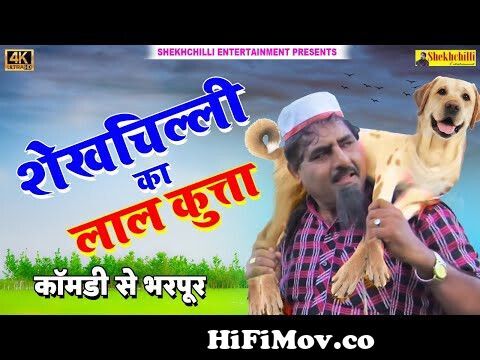 शेखचिल्ली का लाल कुत्ता || New Full Movie || Hariram Tufan &  Shekhchilli#comedynewvideo (2022) from sheikh chilli full episode Watch  Video 