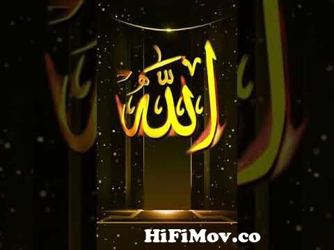 Gold Allah wallpapers for muslim love and islamic religion from ইসলামি ফটো  Watch Video 