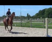 Eu0026M Equestrian