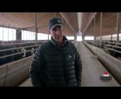 Sask Cattle Feeders Association