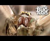 Monster Bug Wars - Official Channel
