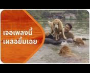 FWD Life Insurance (Thailand)