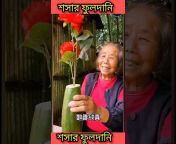 China Bangla 100