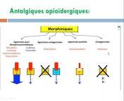 pharmacologie cours
