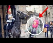 The King&#39;s Guards and Horse UK