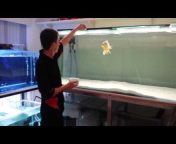 Matts Aquariums and Hobbies