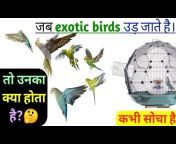 bikaner birds information