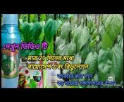 Aniket agriculter পান চাষ YouTube channel ♥️