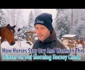 Stable Horse Training