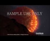 Nucleus Medical Media
