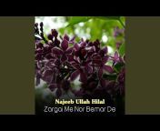 Najeeb Ullah Hilal - Topic