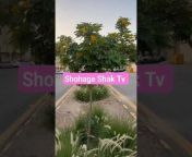 shohage Shak Tv