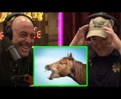 JRE Greatest Hits