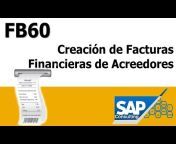 SAP Consulting Group Mexico
