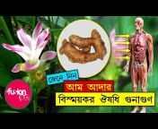 Fusion Care Bangla Tips