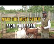 Farming In Africa
