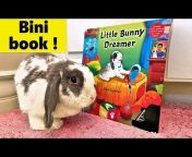 Bini the Bunny