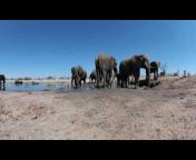 Photos of Africa VR Safari