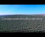 Timac AGRO España