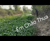 Trần Chung Củ Chi
