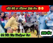 Raju Goat Farm Dirba Punjab 🔵🔵