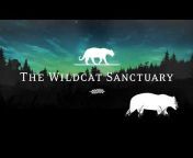 The Wildcat Sanctuary