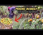 Pekeng Bombay Vlog