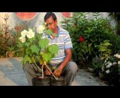 Nilkanta Halder, The Indian Gardener