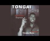 Tongai Moyo - Topic