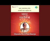 Satinath Mukherjee - Topic