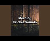 Sleep Sounds of Nature - Topic