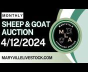 Maryville Livestock Auction