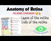 Let&#39;s learn optometry