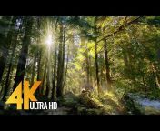 4K Relaxation Channel