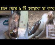 Bangla Facts Show