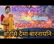 S.B Bodo music
