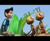 Insectibles - Adventure Cartoon