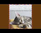 Cat Music Dreams u0026 RelaxMyCat - Topic