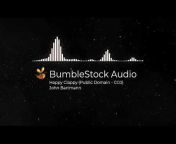 BumbleStock Audio