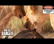 Rob The Ranger Wildlife Videos