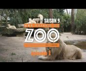 Une Saison au Zoo
