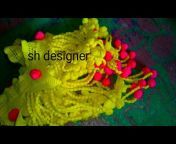 SH Designer