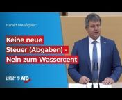 AfD-Fraktion Landtag Bayern