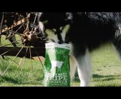 PetKind Pet Products