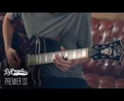 D&#39;Angelico Guitars