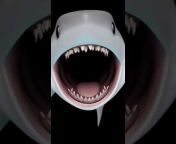 Utah Shark#UTTPsucks