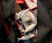 Dada Bhai Food And Vlogs